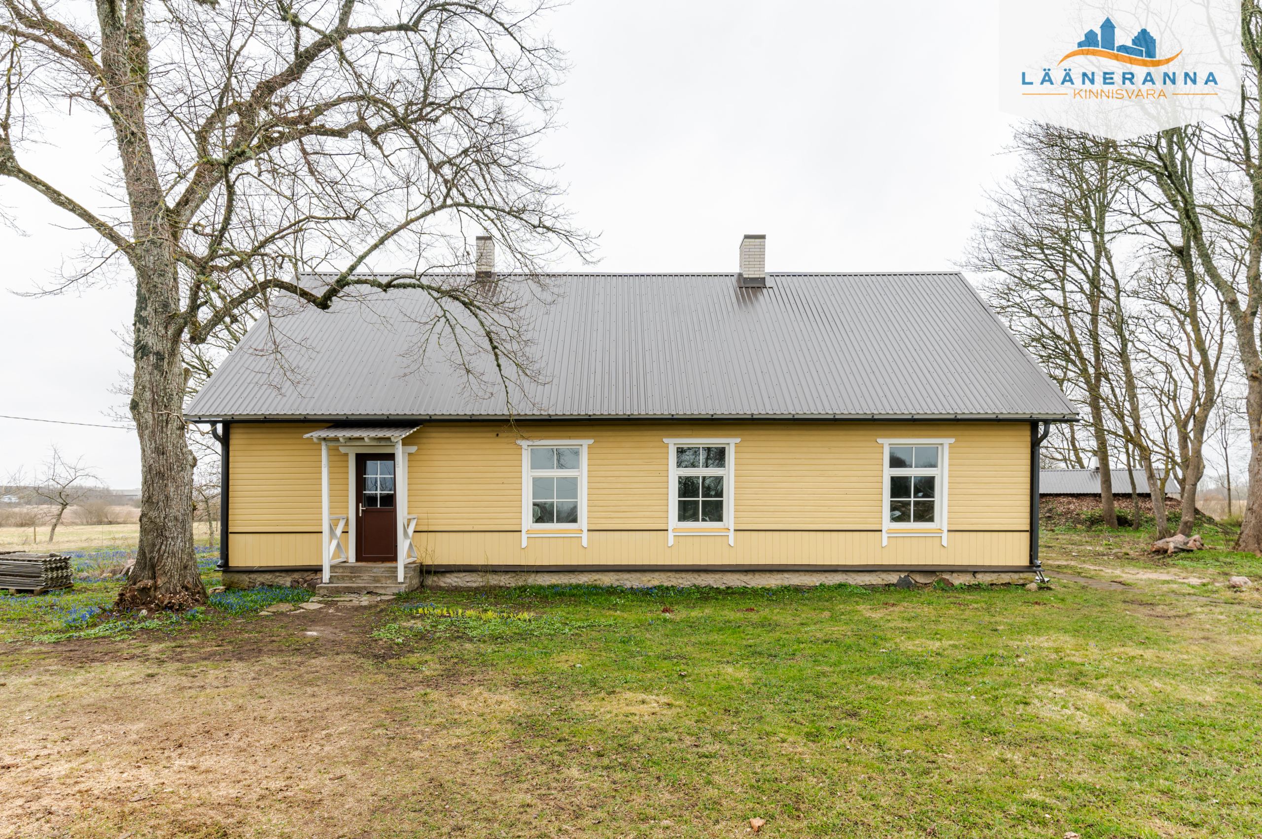 kostri_024